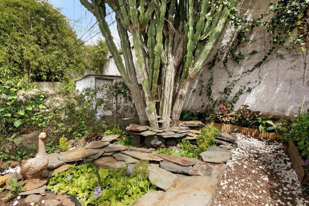הוילה טקורונטה Casa Con Jardin מראה חיצוני תמונה